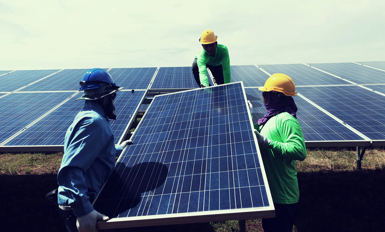 About Skyline Solar